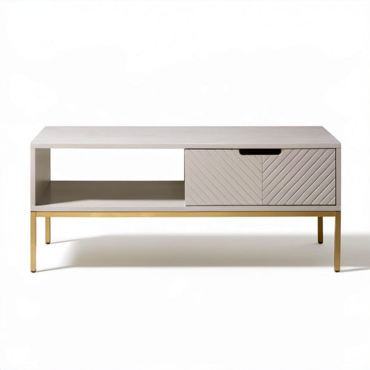 Stolik kawowy RTV z szafką MDF jasnoszary i złoty, 120 x 40 x 55 cm